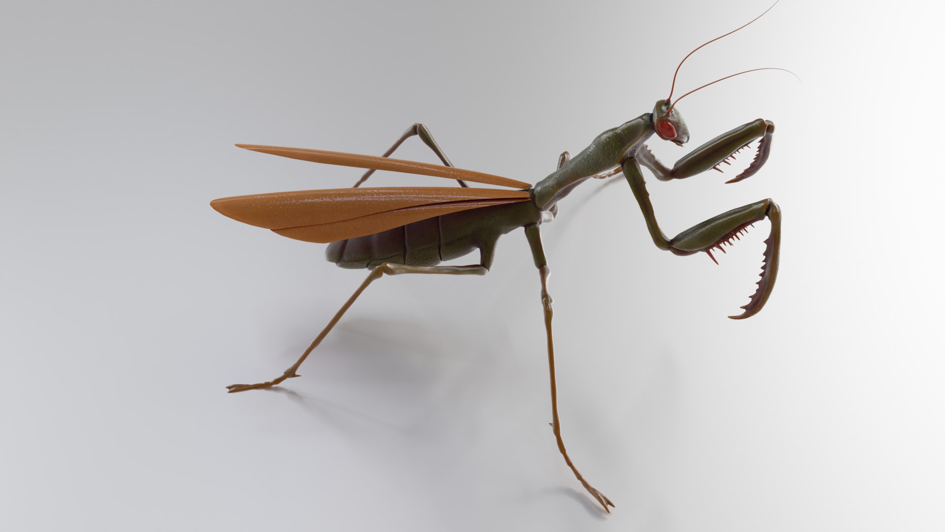 Praying Mantis High Quality Low Poly 3D Model 3D Model - TurboSquid 2264511