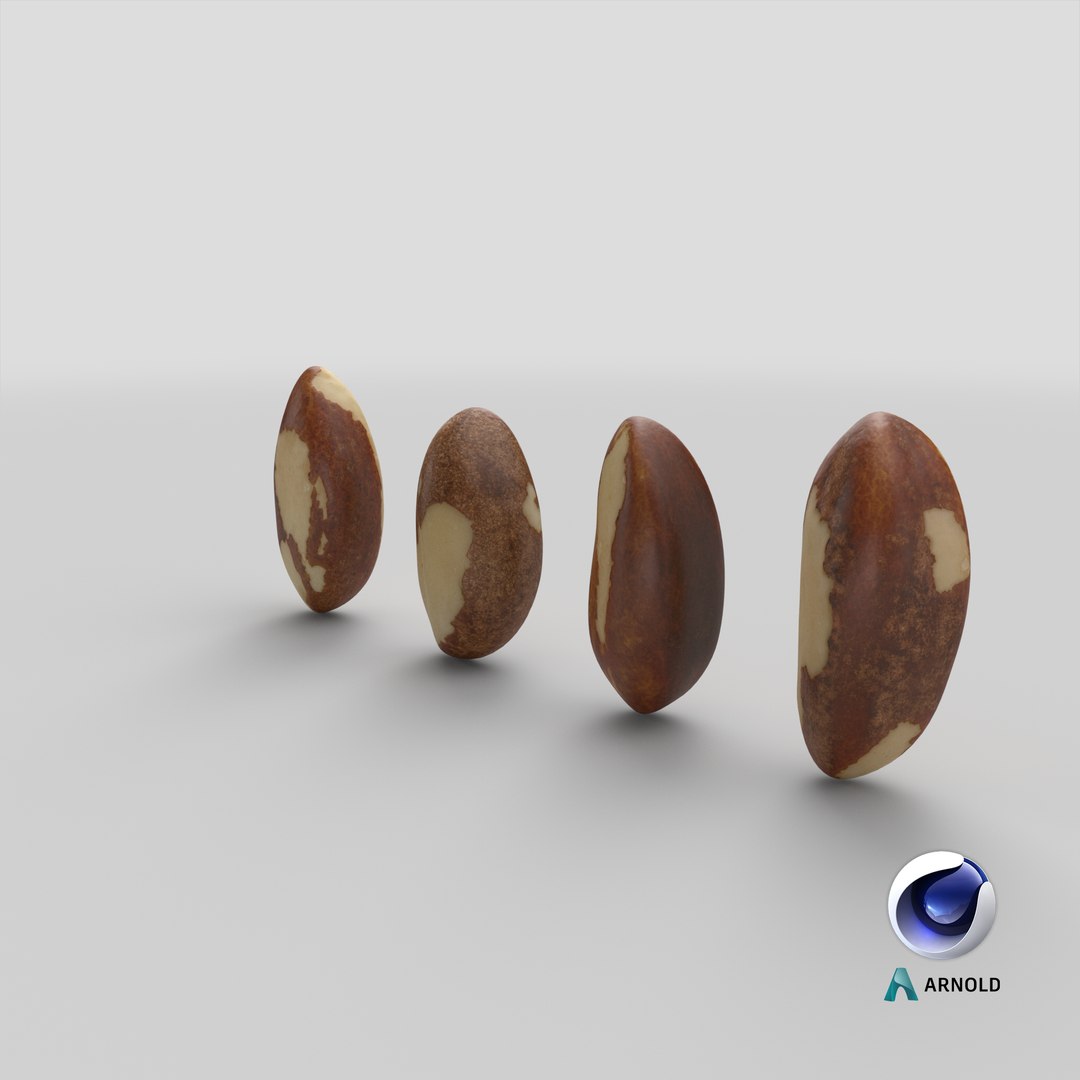 Brazil Nut Collection 3D https://p.turbosquid.com/ts-thumb/QP/8JqIUZ/G9/stemcell_cinema_4d_arnold_render/png/1664610000/1920x1080/fit_q87/094e08008ce5bd47e8d339ef93ef10684a23efda/stemcell_cinema_4d_arnold_render.jpg