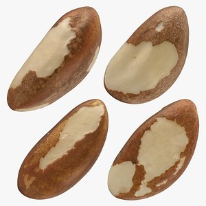 Brazil Nut Collection