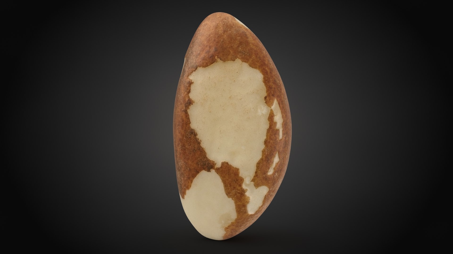 Brazil Nut Collection 3D https://p.turbosquid.com/ts-thumb/QP/8JqIUZ/vN/brazilnut_01_a0001/jpg/1661499633/1920x1080/fit_q87/e06ebaf265ae809f2cbf3f4f33997ddac5984792/brazilnut_01_a0001.jpg