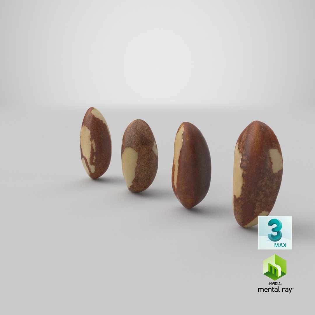 Brazil Nut Collection 3D https://p.turbosquid.com/ts-thumb/QP/8JqIUZ/yz/stemcell_max_mental_ray_render/png/1664610007/1920x1080/fit_q87/e133adba22beac9693dc07ad1b17a013d21db913/stemcell_max_mental_ray_render.jpg