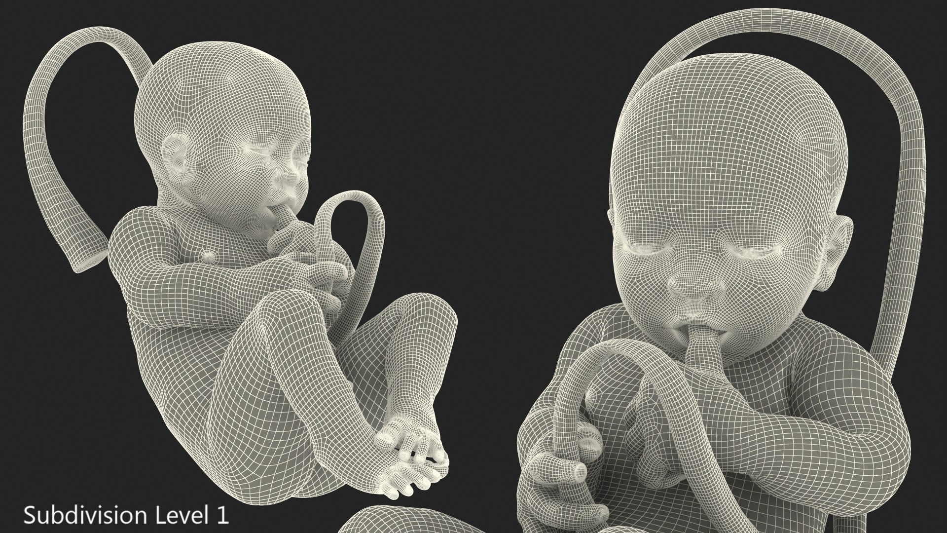 baby boy 38 weeks 3D model https://p.turbosquid.com/ts-thumb/QP/BC7Zhr/7qwIpyPX/babyboyat38weeksfurmb3dmodel016/jpg/1606790732/1920x1080/fit_q87/5867202ec4f324928660ec50ff09b3bc13d23f4b/babyboyat38weeksfurmb3dmodel016.jpg