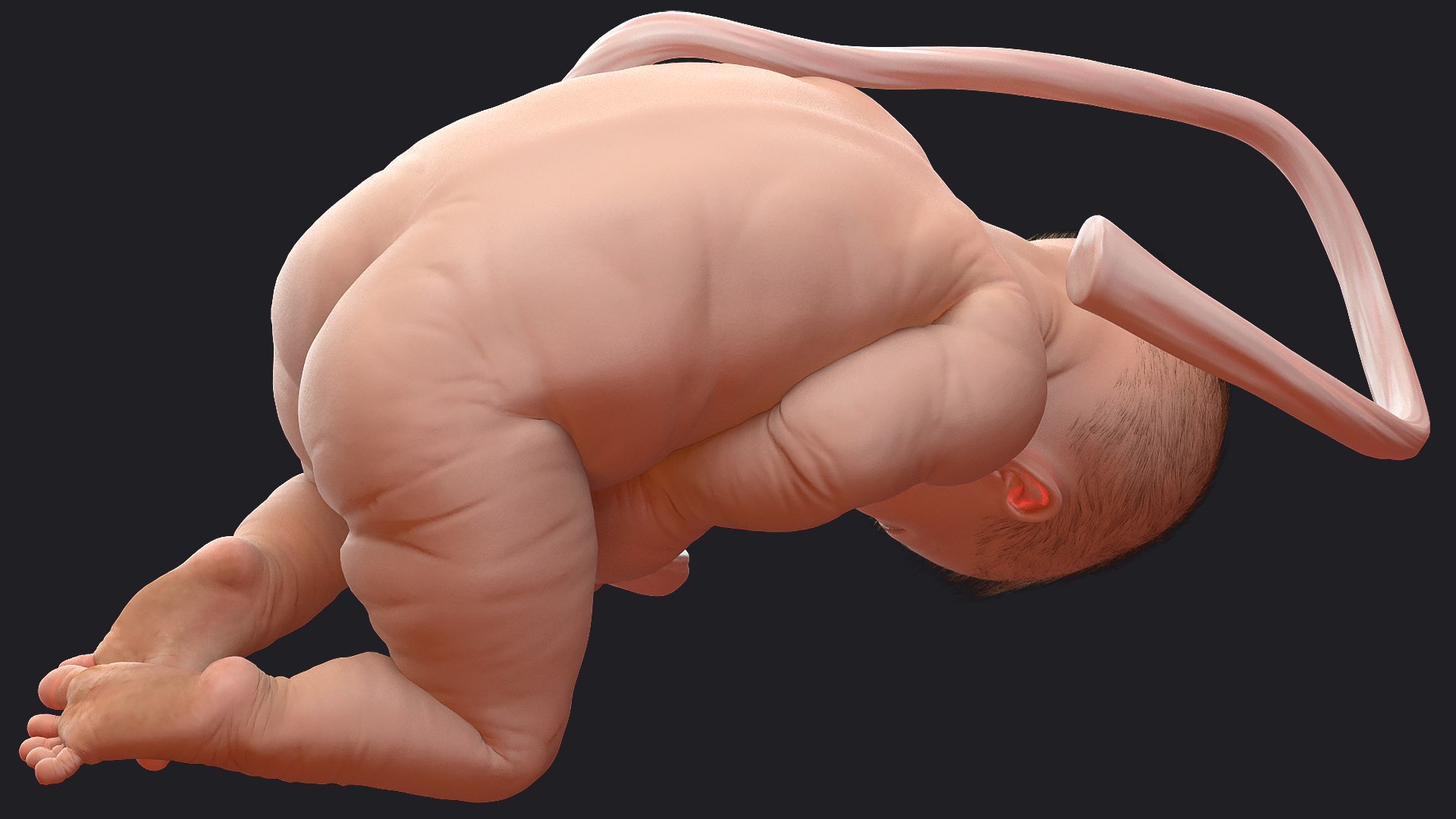 baby boy 38 weeks 3D model https://p.turbosquid.com/ts-thumb/QP/BC7Zhr/Llvd0WMT/babyboyat38weeksfurmb3dmodel007/jpg/1606790621/1920x1080/fit_q87/9c8dd3a66c319281dd2fdde560435ee89e8323f1/babyboyat38weeksfurmb3dmodel007.jpg