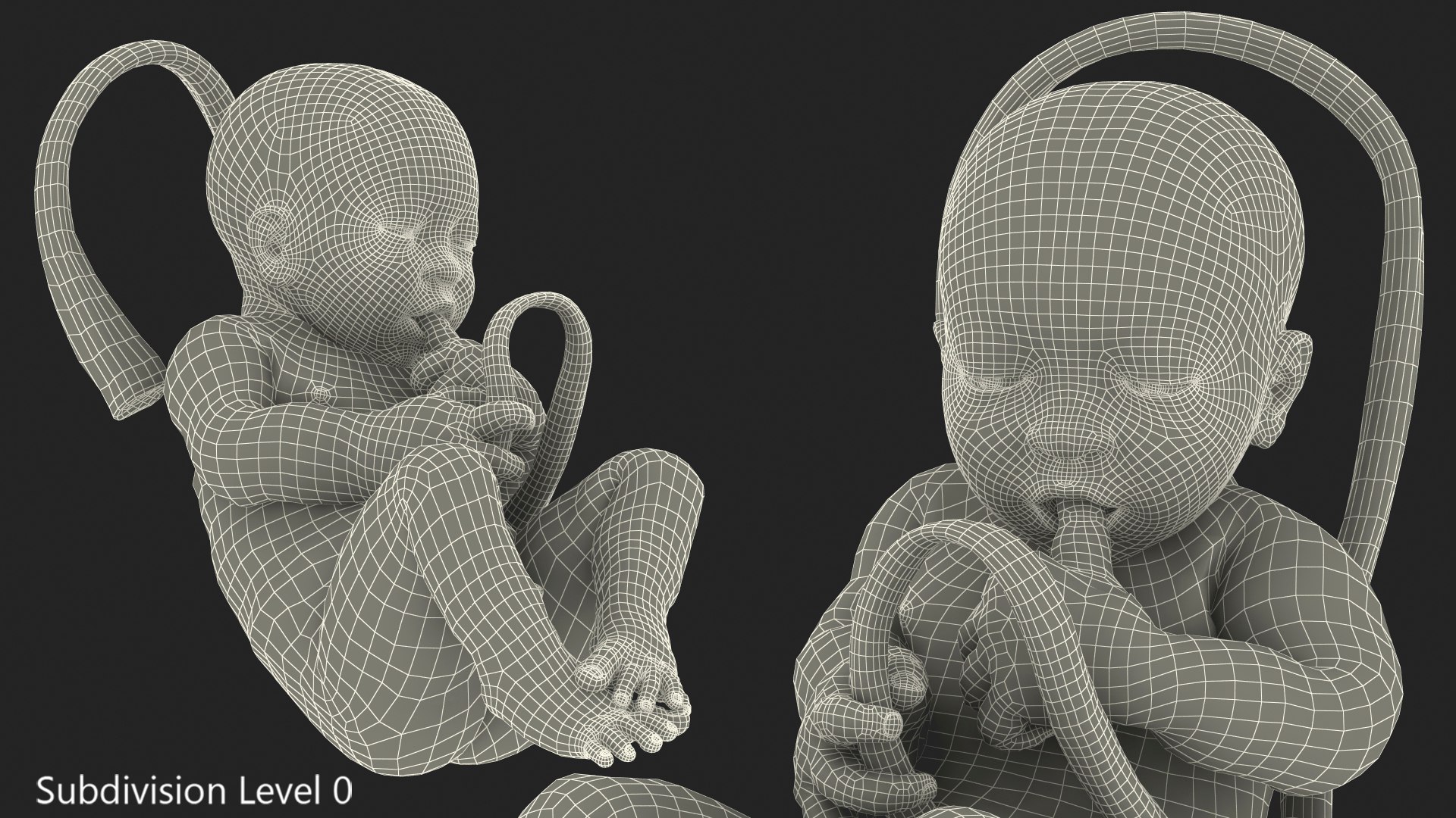 baby boy 38 weeks 3D model https://p.turbosquid.com/ts-thumb/QP/BC7Zhr/j94r2TBy/babyboyat38weeksfurmb3dmodel015/jpg/1606790720/1920x1080/fit_q87/9a9efb4b302af71683a4213767f1ea3ca2551625/babyboyat38weeksfurmb3dmodel015.jpg