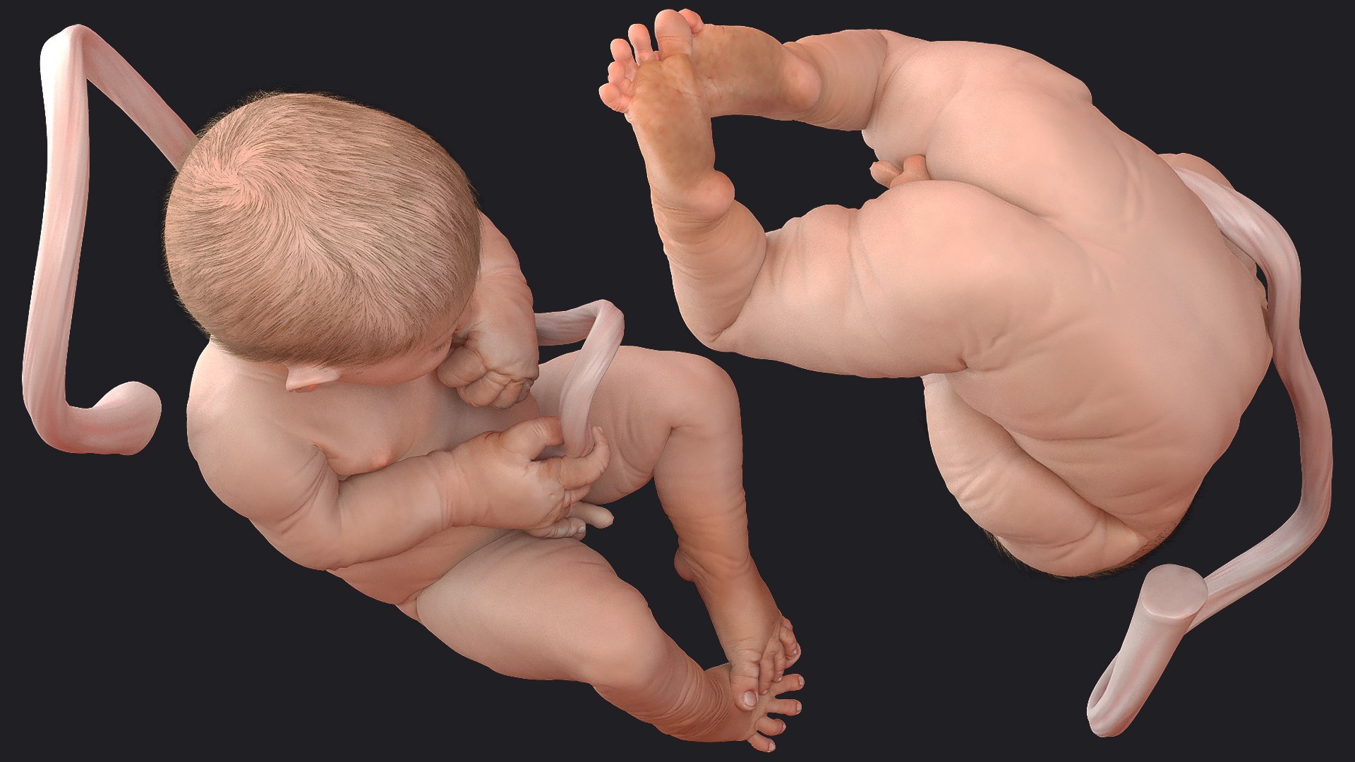 baby boy 38 weeks 3D model https://p.turbosquid.com/ts-thumb/QP/BC7Zhr/l5XtyJeM/babyboyat38weeksfurmb3dmodel009/jpg/1606790650/1920x1080/fit_q87/1fe747e0fba522bf1bded9f414885d5e2d149560/babyboyat38weeksfurmb3dmodel009.jpg