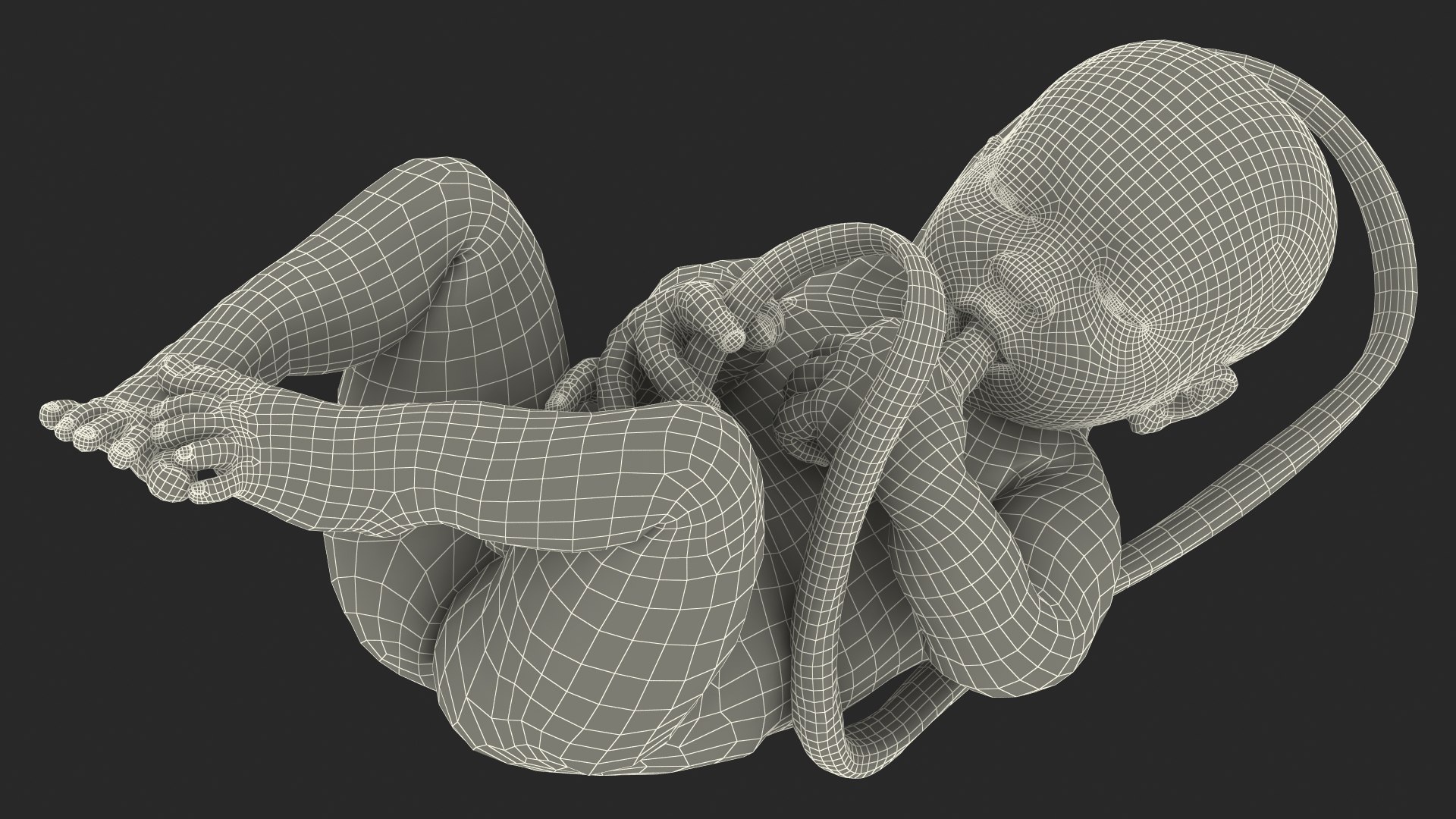 baby boy 38 weeks 3D model https://p.turbosquid.com/ts-thumb/QP/BC7Zhr/oOJZCQT6/babyboyat38weeksfurmb3dmodel021/jpg/1606790795/1920x1080/fit_q87/c0c88e3db318ca725b30bba69efd42204ed20723/babyboyat38weeksfurmb3dmodel021.jpg