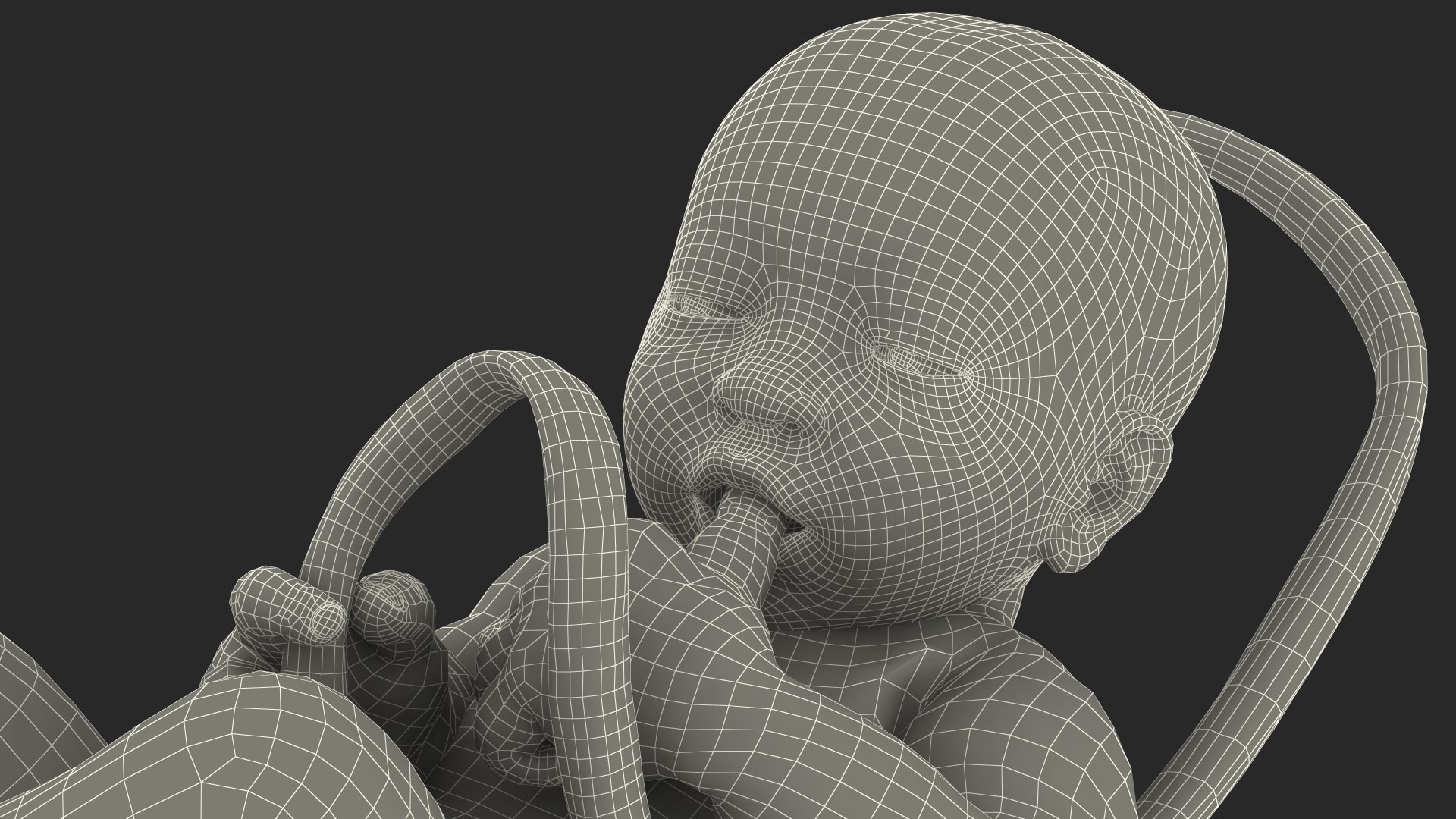 baby boy 38 weeks 3D model https://p.turbosquid.com/ts-thumb/QP/BC7Zhr/tdwqWu7j/babyboyat38weeksfurmb3dmodel023/jpg/1606790818/1920x1080/fit_q87/e65ab40bbfcd7973783d9ee8fc8833b6cbb9d584/babyboyat38weeksfurmb3dmodel023.jpg