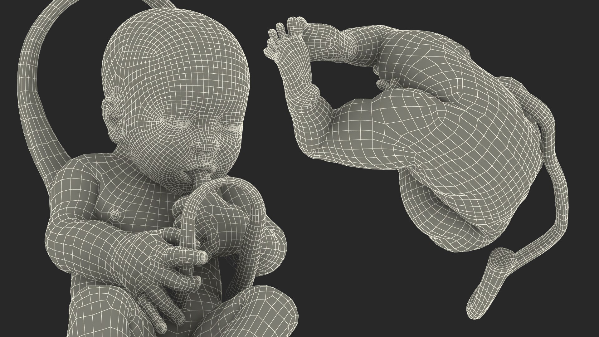 baby boy 38 weeks 3D model https://p.turbosquid.com/ts-thumb/QP/BC7Zhr/xFNt3pI6/babyboyat38weeksfurmb3dmodel022/jpg/1606790806/1920x1080/fit_q87/37d171e16a0bf565283badd1d55409af2f68049a/babyboyat38weeksfurmb3dmodel022.jpg