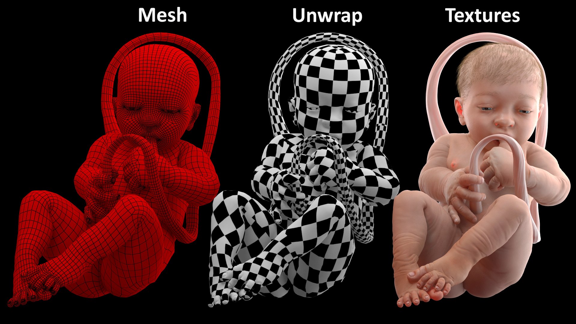 baby boy 38 weeks 3D model https://p.turbosquid.com/ts-thumb/QP/BC7Zhr/zHRCl8H1/babyboyat38weeksfurmb3dmodel017/jpg/1606790743/1920x1080/fit_q87/defb37a001bece6f9f0515520e266b1a9153f0c5/babyboyat38weeksfurmb3dmodel017.jpg