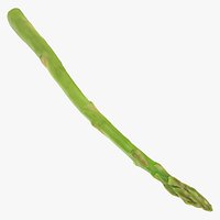 Asparagus 02 - Raw Scan