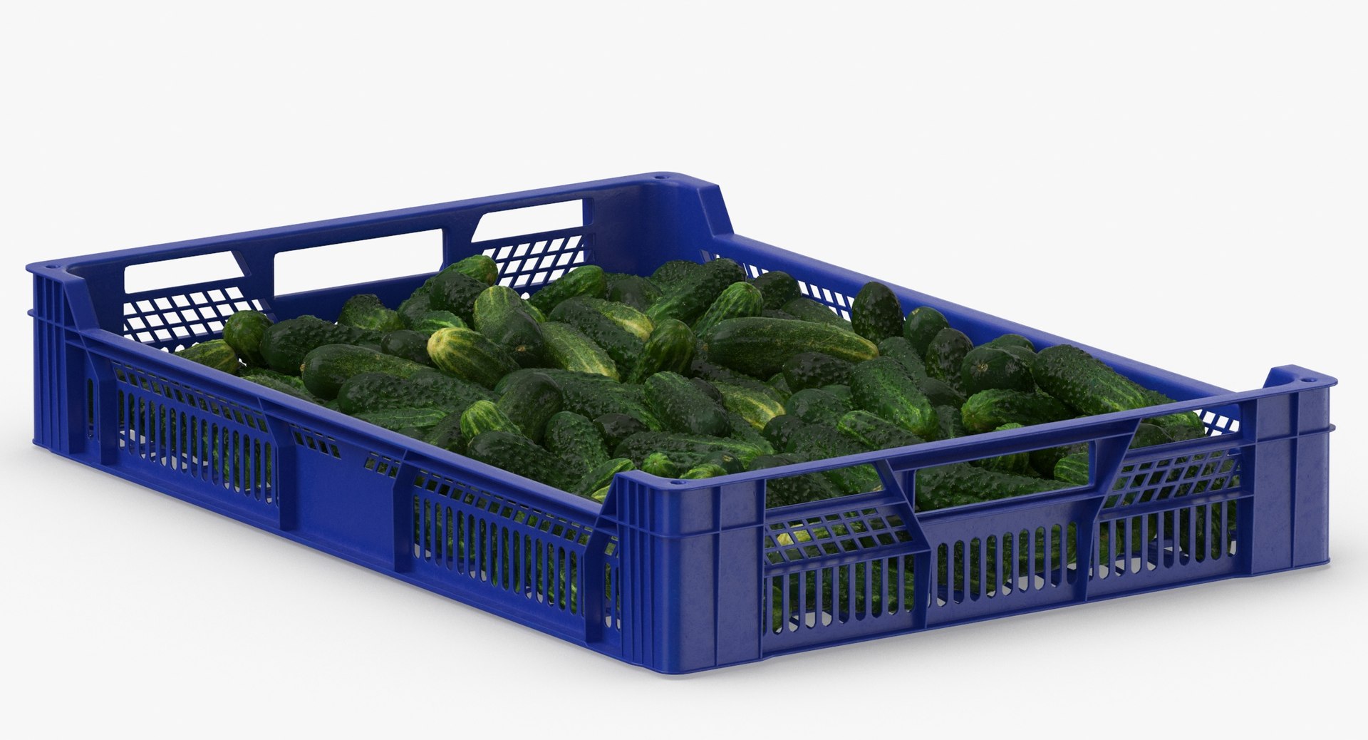 3D postharvest tray kirby cucumbers model https://p.turbosquid.com/ts-thumb/QP/NHJcVQ/C1cS4BAT/postharvest_tray_with_kirby_cucumbers_thumbnail_0006/jpg/1576057812/1920x1080/fit_q87/cf0618363c8364b8f78d0359b248b917d72cdc29/postharvest_tray_with_kirby_cucumbers_thumbnail_0006.jpg