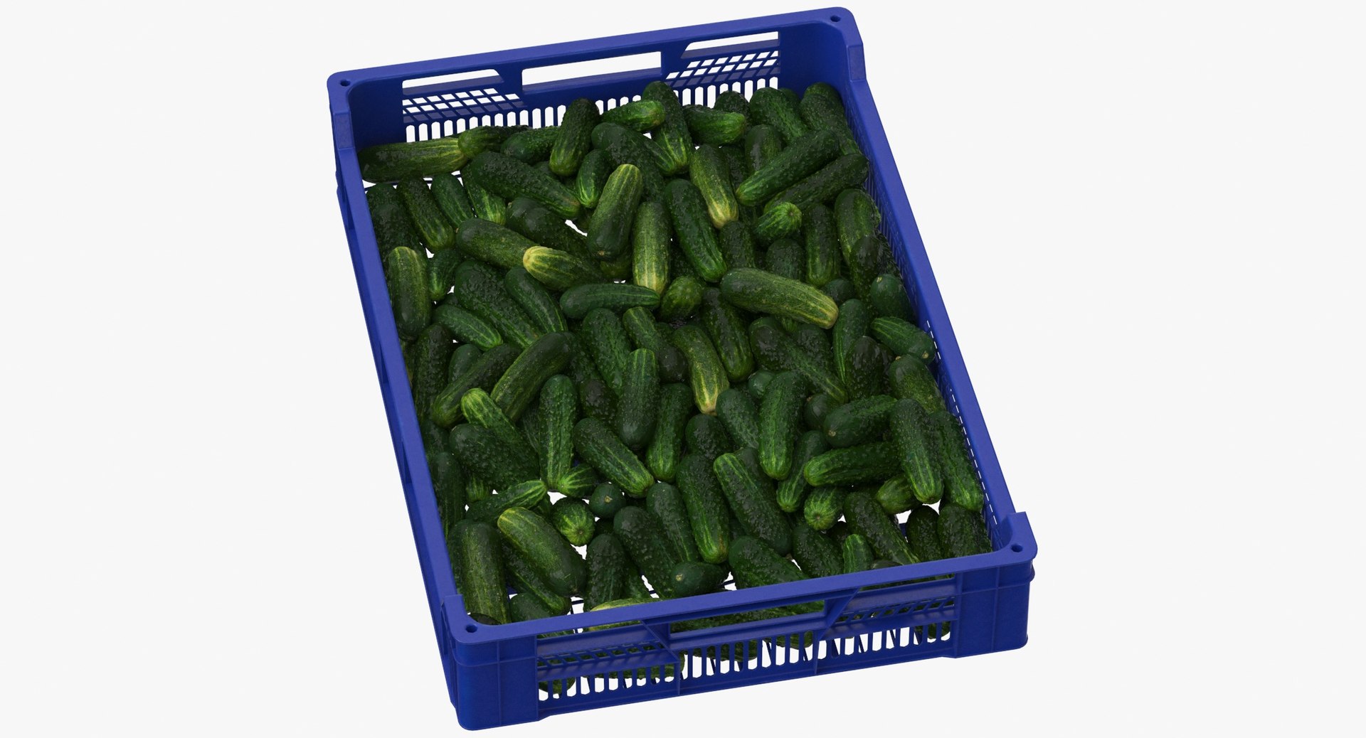 3D postharvest tray kirby cucumbers model https://p.turbosquid.com/ts-thumb/QP/NHJcVQ/HPtbyTLo/postharvest_tray_with_kirby_cucumbers_thumbnail_0001/jpg/1576057812/1920x1080/fit_q87/239fc63596a38a998f50ed46557b013917c3f84a/postharvest_tray_with_kirby_cucumbers_thumbnail_0001.jpg