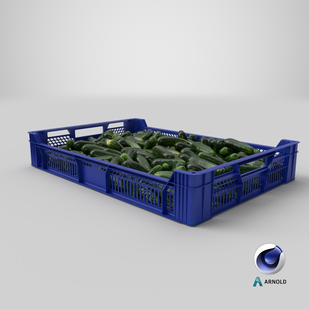 3D postharvest tray kirby cucumbers model https://p.turbosquid.com/ts-thumb/QP/NHJcVQ/KWWfrYcX/stemcell_cinema_4d_arnold_render/png/1576514053/1920x1080/fit_q87/04ce22a80da77b956107dc013be8e4ea2fa33901/stemcell_cinema_4d_arnold_render.jpg