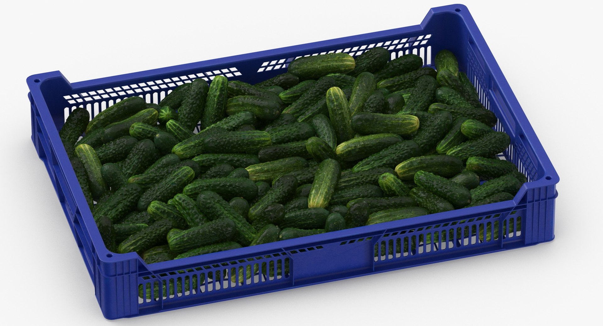 3D postharvest tray kirby cucumbers model https://p.turbosquid.com/ts-thumb/QP/NHJcVQ/KYQbMYgT/postharvest_tray_with_kirby_cucumbers_thumbnail_0004/jpg/1576057812/1920x1080/fit_q87/dcc6e3073c44533c4ffee36dd41fe6e156ae34fe/postharvest_tray_with_kirby_cucumbers_thumbnail_0004.jpg