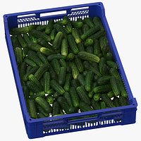 Postharvest Tray with Kirby Cucumbers