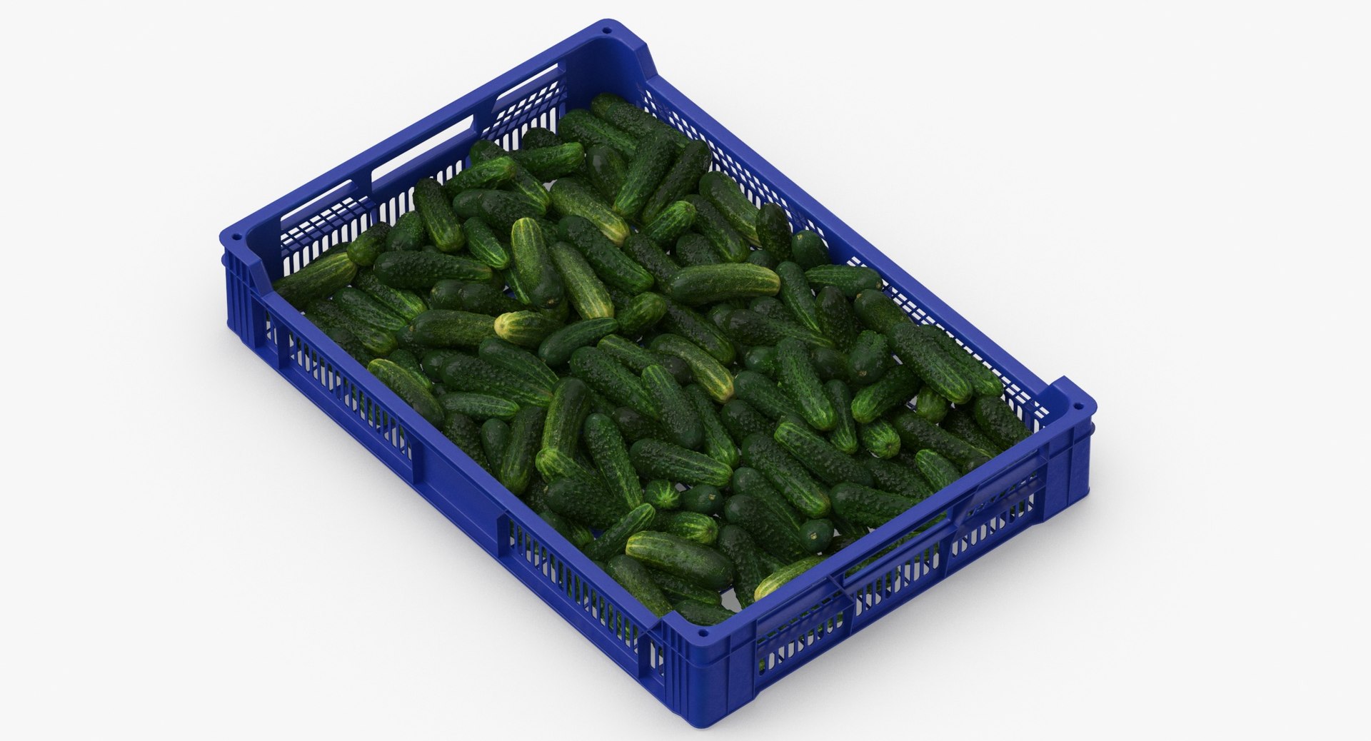 3D postharvest tray kirby cucumbers model https://p.turbosquid.com/ts-thumb/QP/NHJcVQ/NSNceuEv/postharvest_tray_with_kirby_cucumbers_thumbnail_0003/jpg/1576057812/1920x1080/fit_q87/a500db66af01095a8c9d77dab2a857657bf9bba7/postharvest_tray_with_kirby_cucumbers_thumbnail_0003.jpg