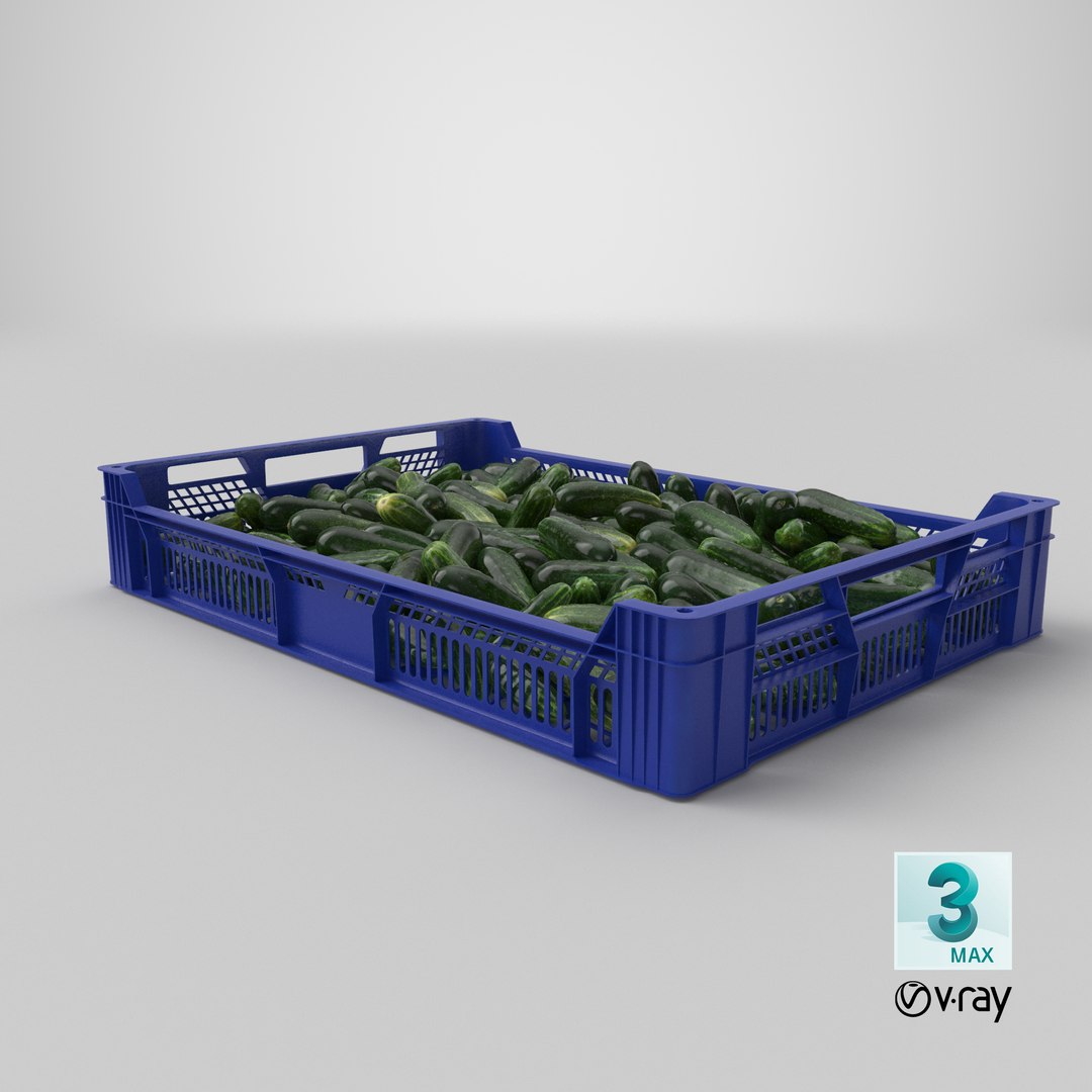 3D postharvest tray kirby cucumbers model https://p.turbosquid.com/ts-thumb/QP/NHJcVQ/OrW1jNZO/stemcell_max_vray_render/png/1576514067/1920x1080/fit_q87/3723c84472143d178e0af06fe71efef37f0cf6fb/stemcell_max_vray_render.jpg