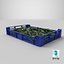 Postharvest Tray with Kirby Cucumbers