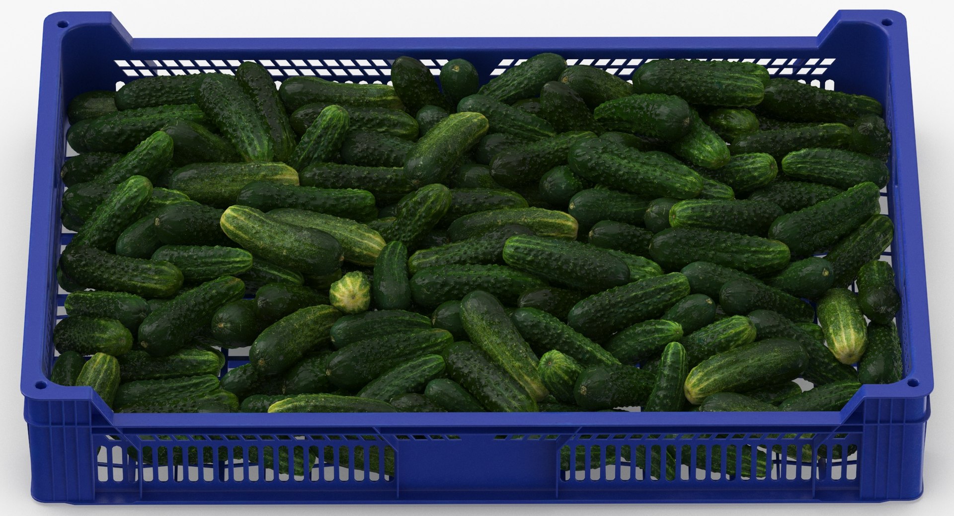 3D postharvest tray kirby cucumbers model https://p.turbosquid.com/ts-thumb/QP/NHJcVQ/TCEKLnt4/postharvest_tray_with_kirby_cucumbers_thumbnail_0005/jpg/1576057812/1920x1080/fit_q87/209ceab372f280a095cb086459c63065f703177b/postharvest_tray_with_kirby_cucumbers_thumbnail_0005.jpg