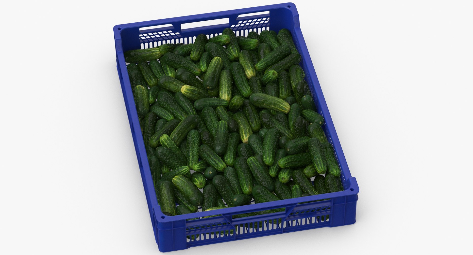 3D postharvest tray kirby cucumbers model https://p.turbosquid.com/ts-thumb/QP/NHJcVQ/V7NPIk4W/postharvest_tray_with_kirby_cucumbers_thumbnail_0002/jpg/1576057812/1920x1080/fit_q87/8ffc2641075e315558cf67cfb752ff7bbe8f5dde/postharvest_tray_with_kirby_cucumbers_thumbnail_0002.jpg