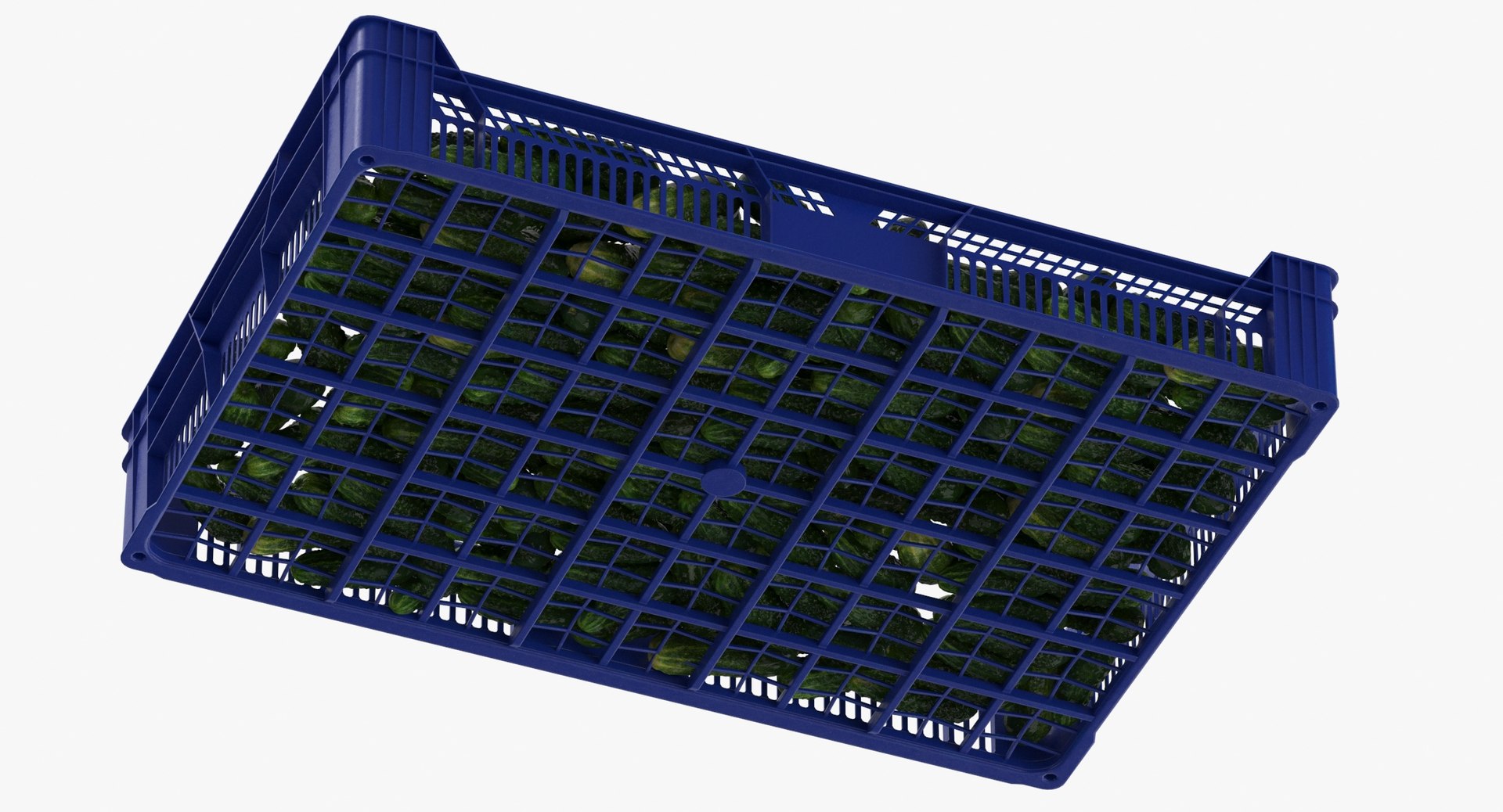 3D postharvest tray kirby cucumbers model https://p.turbosquid.com/ts-thumb/QP/NHJcVQ/cvKYF4pr/postharvest_tray_with_kirby_cucumbers_thumbnail_0008/jpg/1576057812/1920x1080/fit_q87/5cf1b517bef1daa1af71a6a51fadaf9bc2df3858/postharvest_tray_with_kirby_cucumbers_thumbnail_0008.jpg