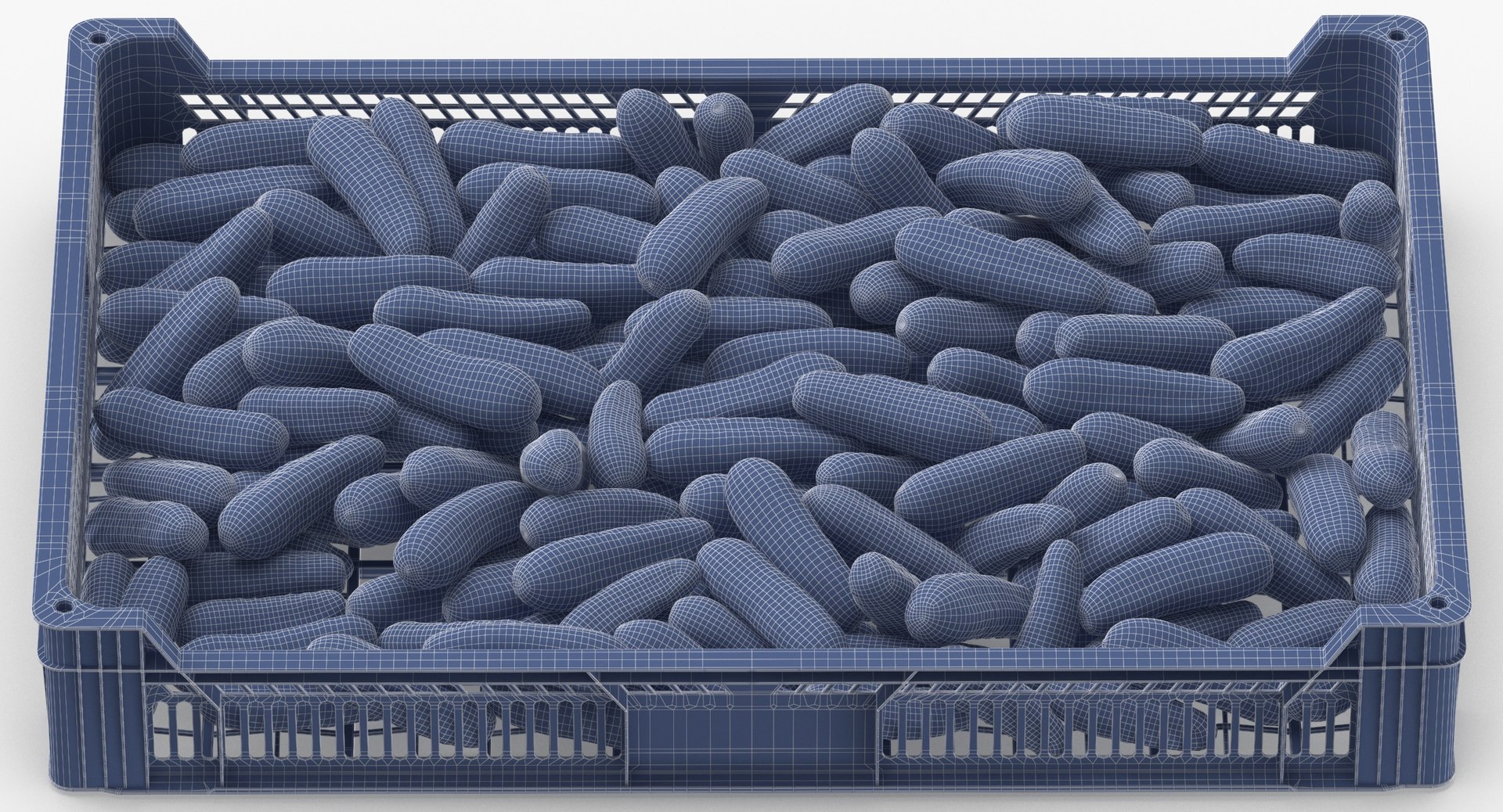 3D postharvest tray kirby cucumbers model https://p.turbosquid.com/ts-thumb/QP/NHJcVQ/fDkFyS4E/postharvest_tray_with_kirby_cucumbers_wireframe_0005/jpg/1576057812/1920x1080/fit_q87/60aee763996426d6bd5f1078464f4e615abb3e6d/postharvest_tray_with_kirby_cucumbers_wireframe_0005.jpg