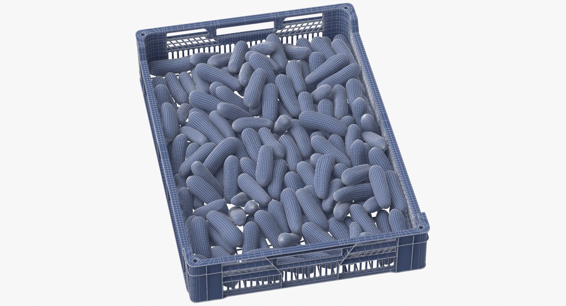 3D postharvest tray kirby cucumbers model https://p.turbosquid.com/ts-thumb/QP/NHJcVQ/syM4mJr8/postharvest_tray_with_kirby_cucumbers_wireframe_0001/jpg/1576057812/1920x1080/fit_q87/998cf753d9b3a7a7150ee9fa52c53a6fe8ba4eb1/postharvest_tray_with_kirby_cucumbers_wireframe_0001.jpg