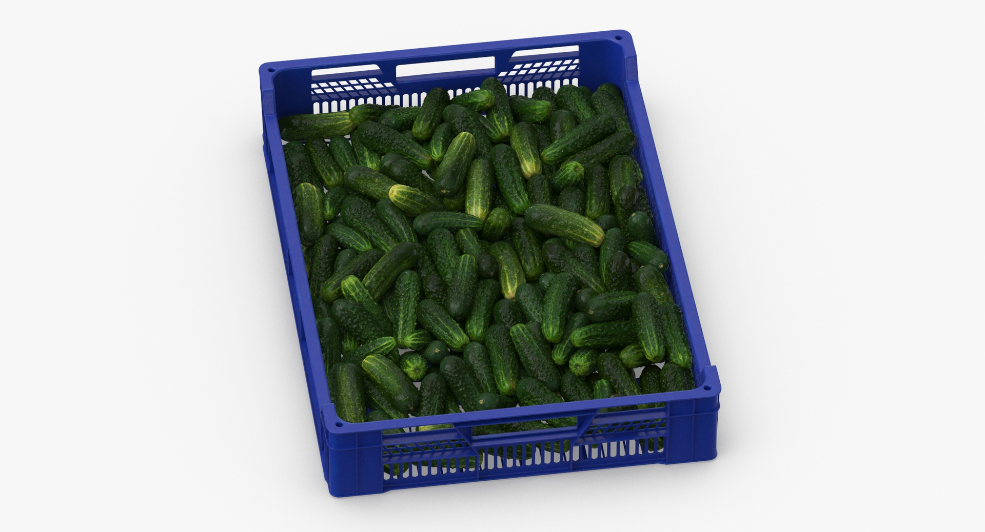 3D postharvest tray kirby cucumbers model https://p.turbosquid.com/ts-thumb/QP/NHJcVQ/vVS3AYXr/0000/jpg/1576057847/1920x1080/turn_fit_q99/0d038a7e5d11b54abd5cc2a173419d1d1af2c433/0000-1.jpg