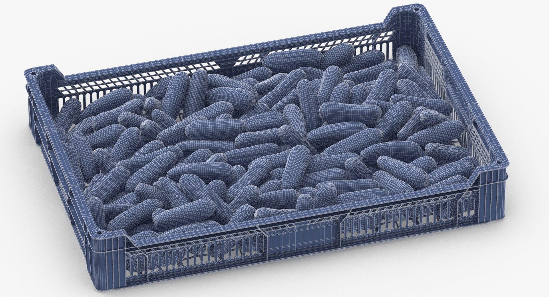 3D postharvest tray kirby cucumbers model https://p.turbosquid.com/ts-thumb/QP/NHJcVQ/vr2kx292/postharvest_tray_with_kirby_cucumbers_wireframe_0004/jpg/1576057812/1920x1080/fit_q87/68d7eb98d6580411b8c0a491be2fd99a07590eb2/postharvest_tray_with_kirby_cucumbers_wireframe_0004.jpg