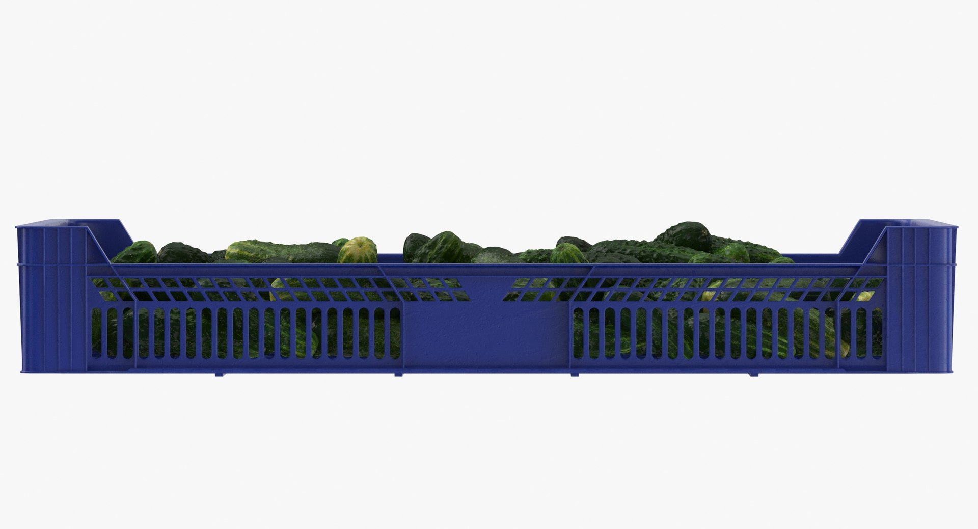 3D postharvest tray kirby cucumbers model https://p.turbosquid.com/ts-thumb/QP/NHJcVQ/yzIUlMei/postharvest_tray_with_kirby_cucumbers_thumbnail_0007/jpg/1576057812/1920x1080/fit_q87/6aabea7363d65e3c42f255a57a2445c6c3bac7e5/postharvest_tray_with_kirby_cucumbers_thumbnail_0007.jpg