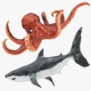 Shark and Octopus