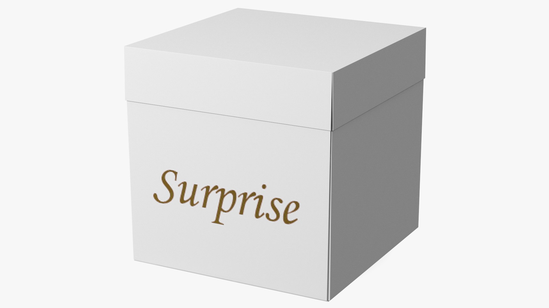 White Square Cardboard Gift Box 3D model preview