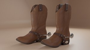 Leather cowboy boots