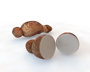 Yucca Root