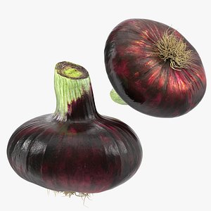 red onion 3D model