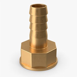 Brass Gas Pipe Adapter 3D model