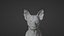 Cane rurale cinese