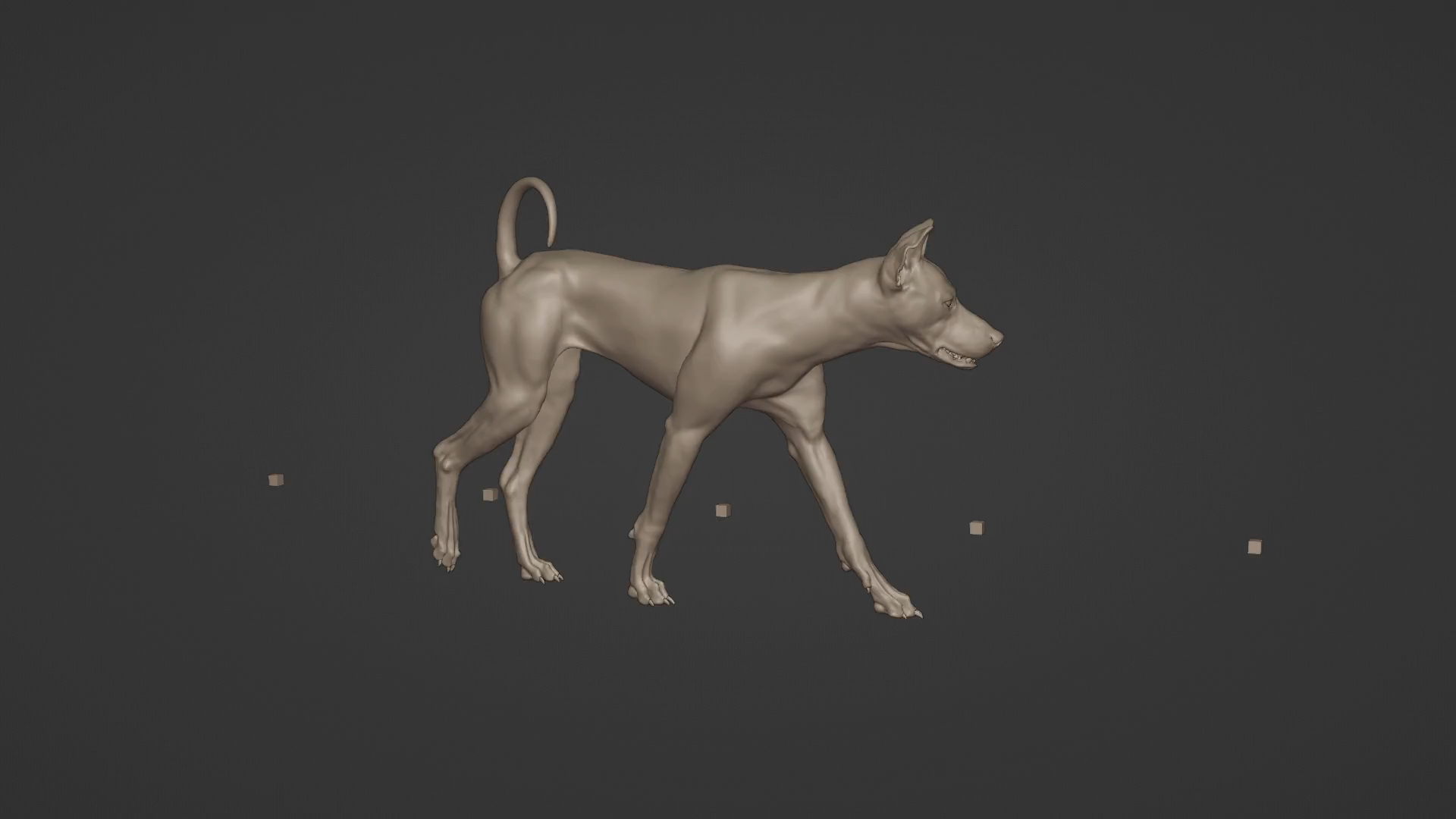 Chinese Rural Dog 3D model https://p.turbosquid.com/ts-thumb/QP/bqZzYT/sh/ju0l219a0_dog_walk/jpg/1672302732/1920x1080/turn_fit_q99/8c0d8b2581e69d8c4f84e3dbf72d11df49a2f81c/ju0l219a0_dog_walk-1.jpg