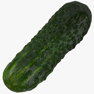 3D model kirby cucumber 03