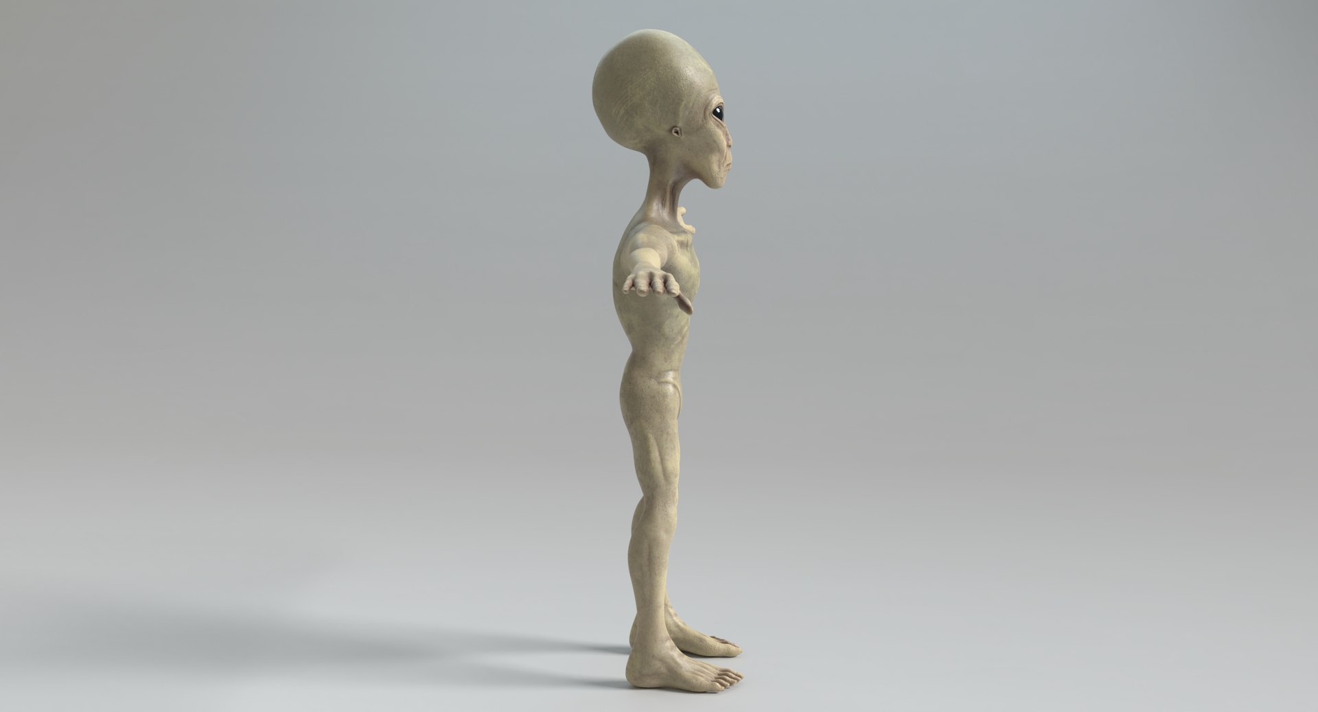 Alien and UFO Set 3D model https://p.turbosquid.com/ts-thumb/QP/hq8LzU/Q8/images0010/png/1676995153/1920x1080/fit_q87/5eea0a017c8fb9e60e18d0ba7ae053c239e0a7d6/images0010.jpg