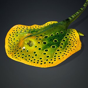 Ray Fish-A2 3D model