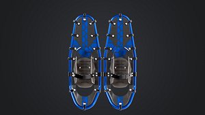 SnowShoes