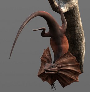 Frill-necked Lizard