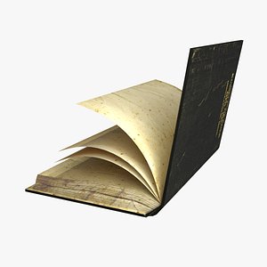 rig book 3d max