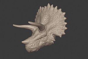 triceratops head 3D model