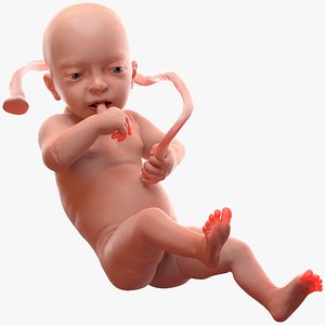 baby boy 32 weeks model