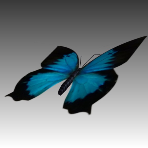 3d blue butterfly fly model