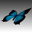 Low Poly Butterfly 3