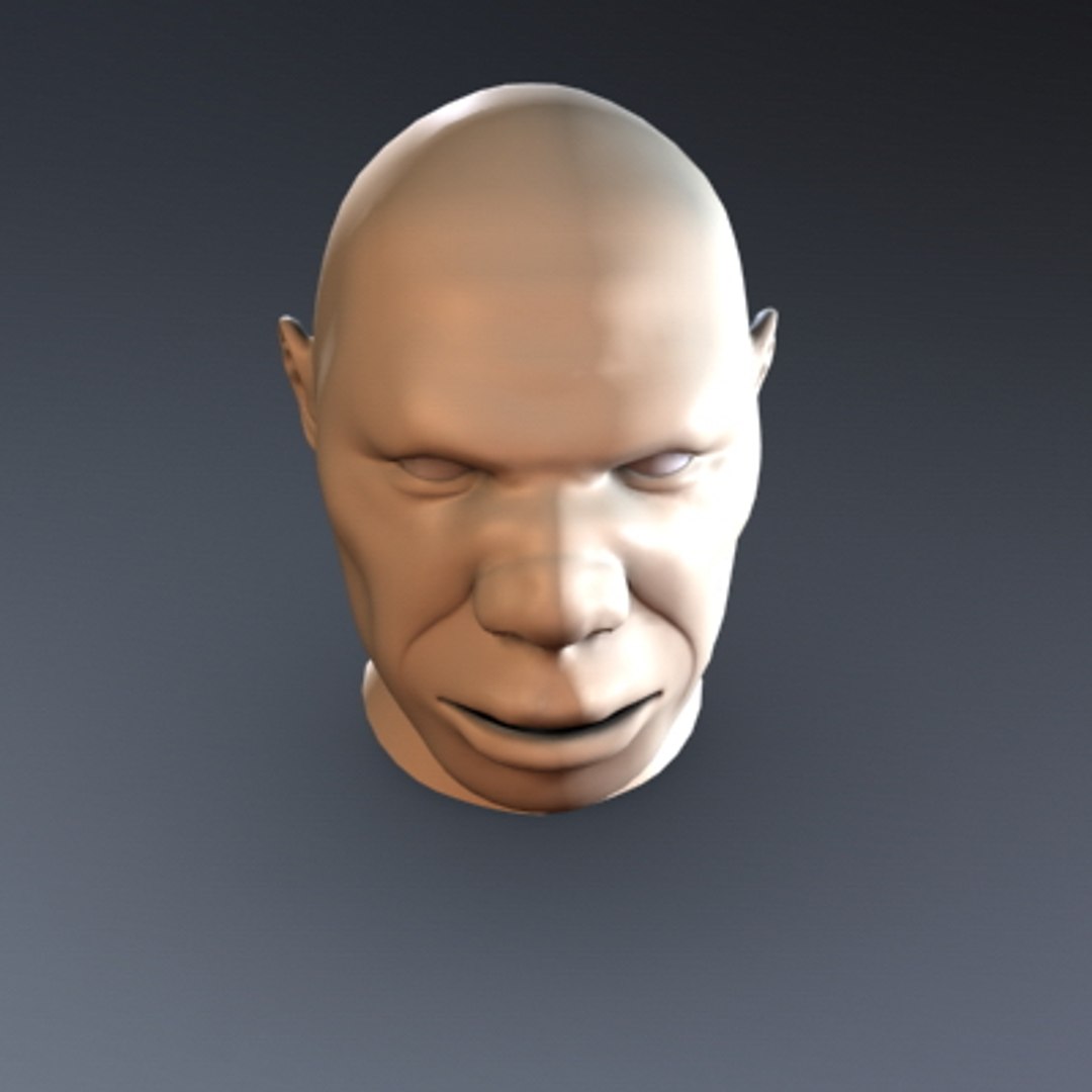obj male face head