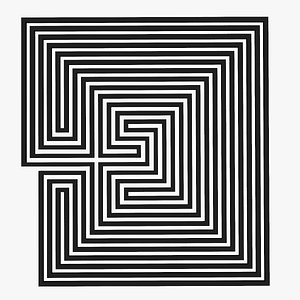 maze labyrinth geometry 3d model